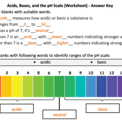 Acids and bases worksheet answers