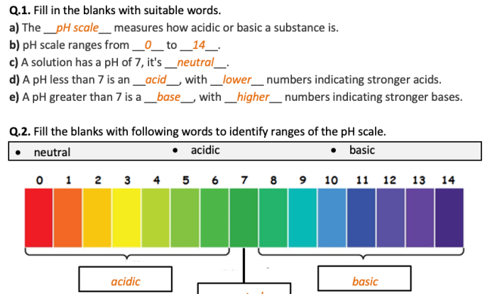 Acids and bases worksheet answers