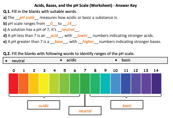 Acids and bases worksheet answers