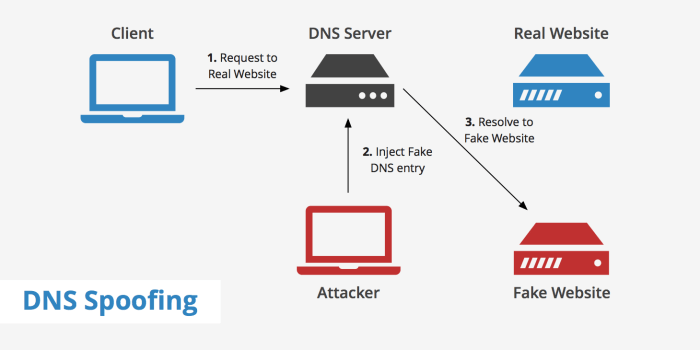 How does switch spoofing work