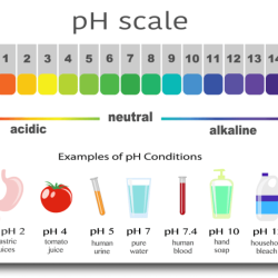 A solution with a ph of 3.6 would be