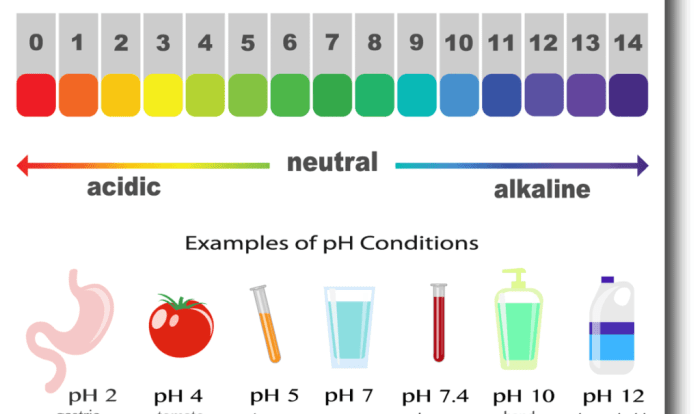 A solution with a ph of 3.6 would be