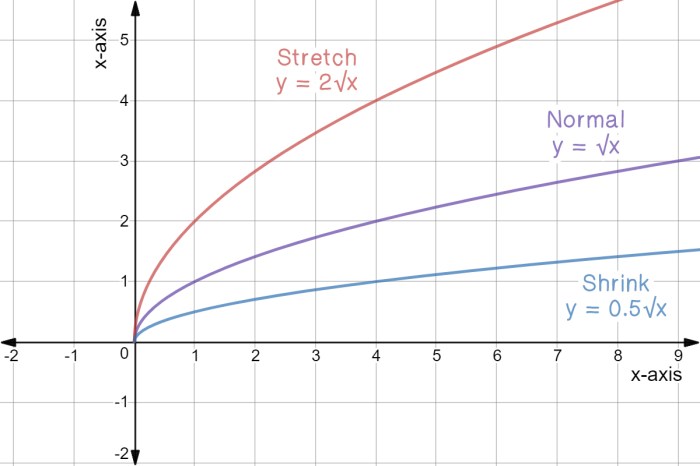 Stretch shrink horizontal vertical transformations ago years