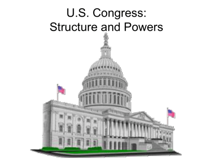 The structure of congress guided reading activity