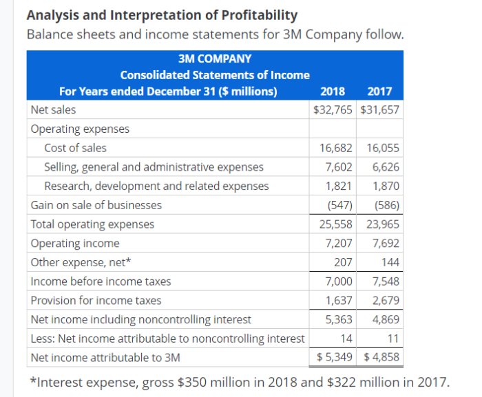 Balance sheets and income statements for 3m company follow