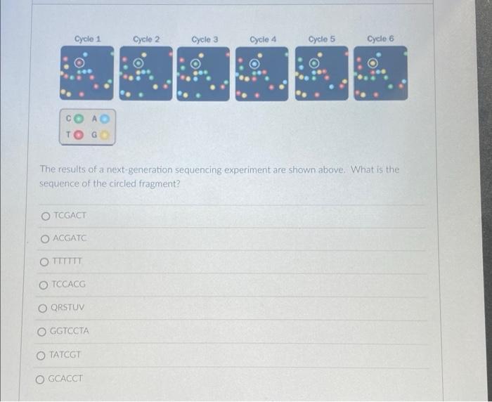 What dna sequence is complementary to cggtgaactgta