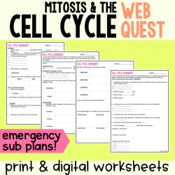 Mitosis and the cell cycle webquest answer key