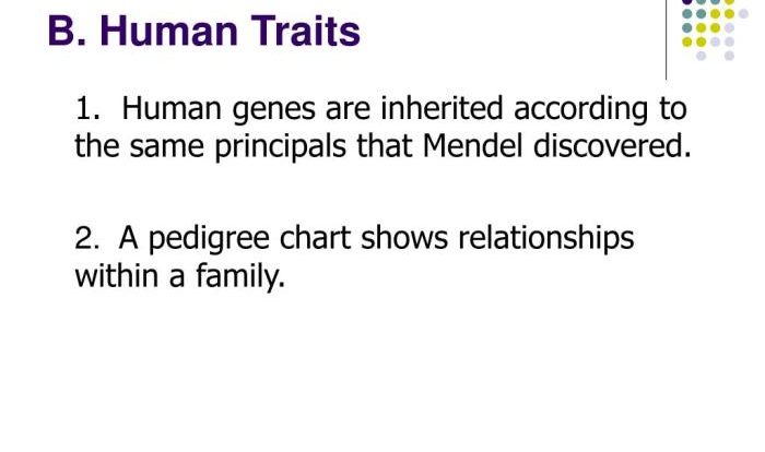 Biology chromosomes genome flashcards guided