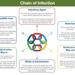 Chapter 5 infection control principles and practices